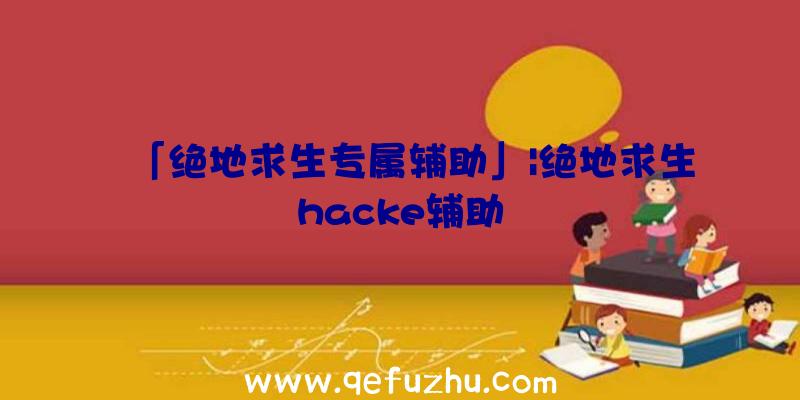 「绝地求生专属辅助」|绝地求生hacke辅助